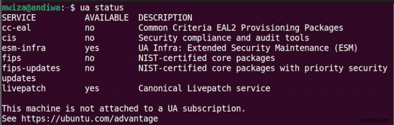 Why Ubuntu LTS Beats Regular Releases for Reliability and Long-Term Support