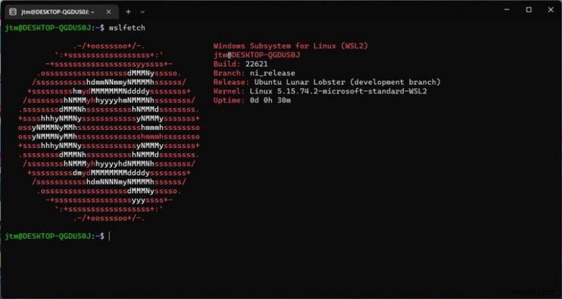 Run Ubuntu Daily Builds on Windows Using Ubuntu Preview for WSL