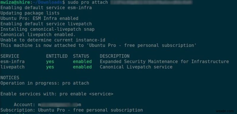 Elevate Your Ubuntu Experience with Ubuntu Pro