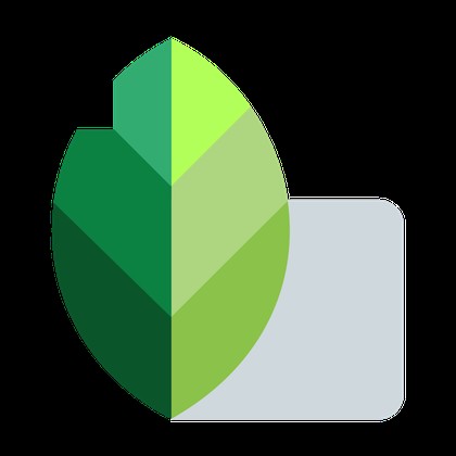 Snapseed: A Free, Powerful Mobile Photo Editing App