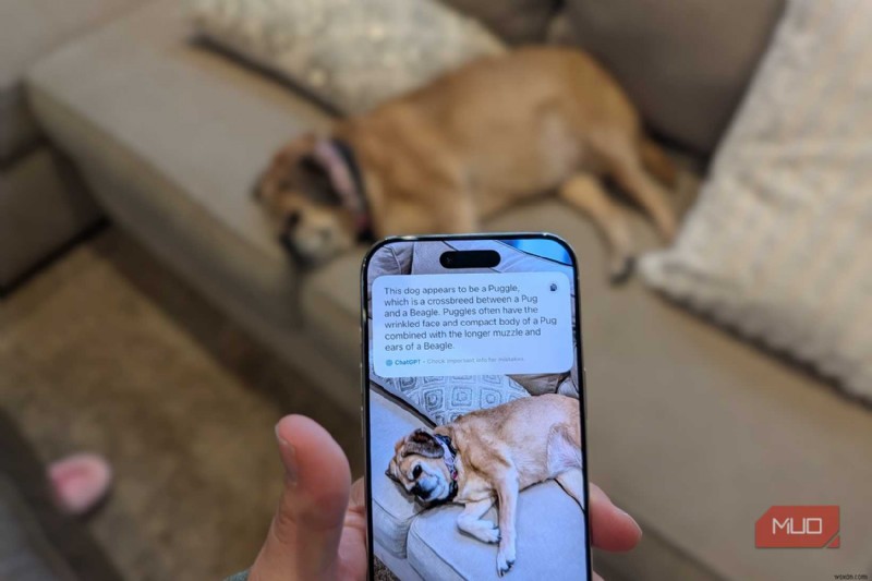 Unlock Your iPhone’s Full Potential: 3 Camera Features That Solve Everyday Challenges