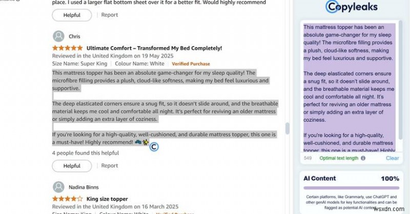 Detecting AI-Generated Product Reviews: A Guide to Avoiding Scams