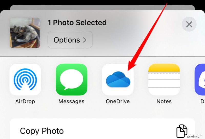 Fast, Reliable Guide: Transfer iPhone Photos to Windows 11 in Minutes