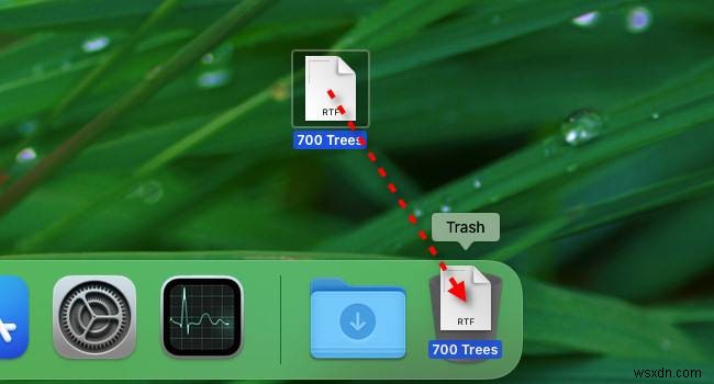 How to Find the Recycle Bin on Your Mac – Quick Guide