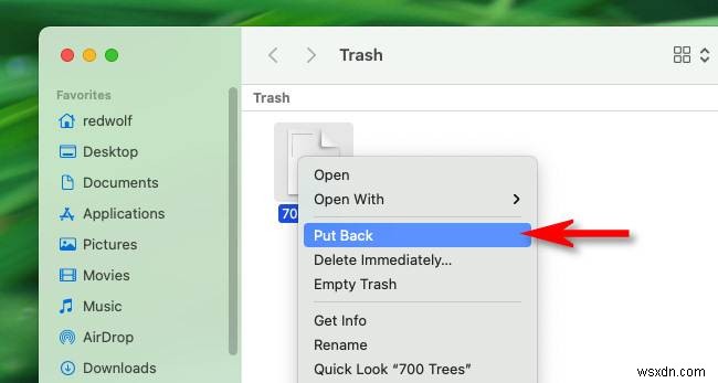 How to Find the Recycle Bin on Your Mac – Quick Guide