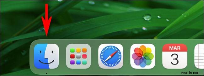 How to Find the Recycle Bin on Your Mac – Quick Guide