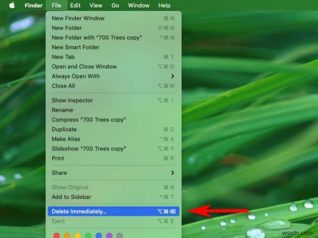 How to Find the Recycle Bin on Your Mac – Quick Guide
