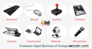 Understanding Motherboards: Why They Aren’t Input Devices (2024 Guide)