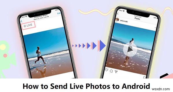 Transfer Live Photos from iPhone to Android While Preserving Motion & Sound
