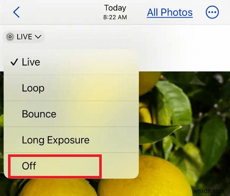 Transfer Live Photos from iPhone to Android While Preserving Motion & Sound