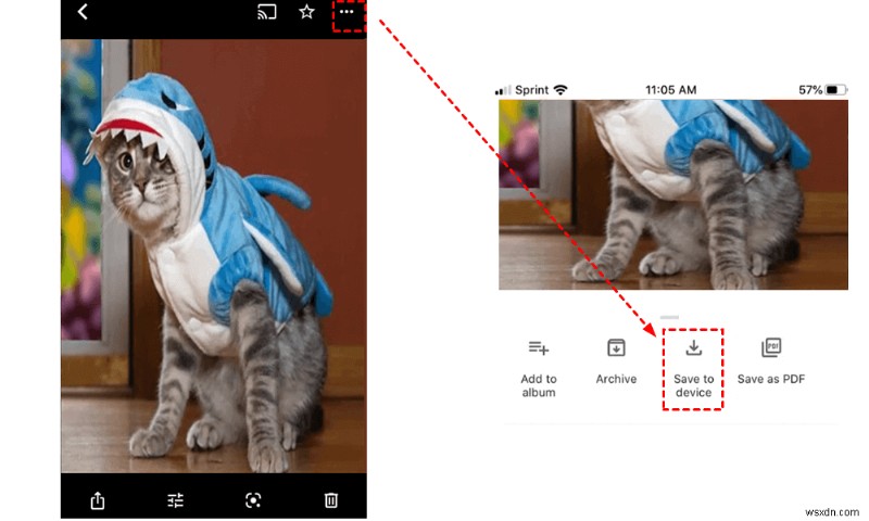 How to Transfer Google Photos to Your iPhone Camera Roll in 2024