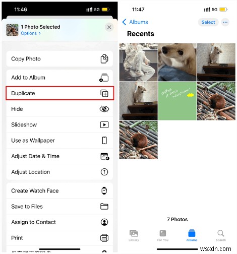 Quick Guide: Duplicate Photos on iPhone & iPad Without Losing Originals