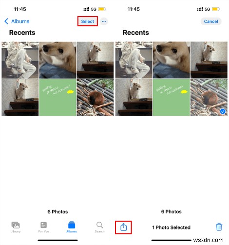 Quick Guide: Duplicate Photos on iPhone & iPad Without Losing Originals