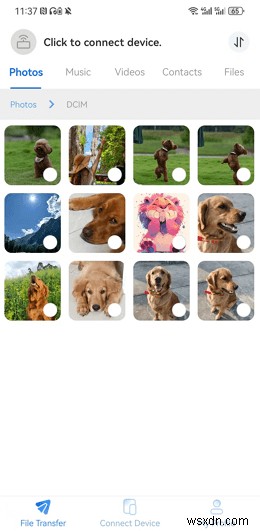 Resolve Android File Transfer Connection Issues on macOS