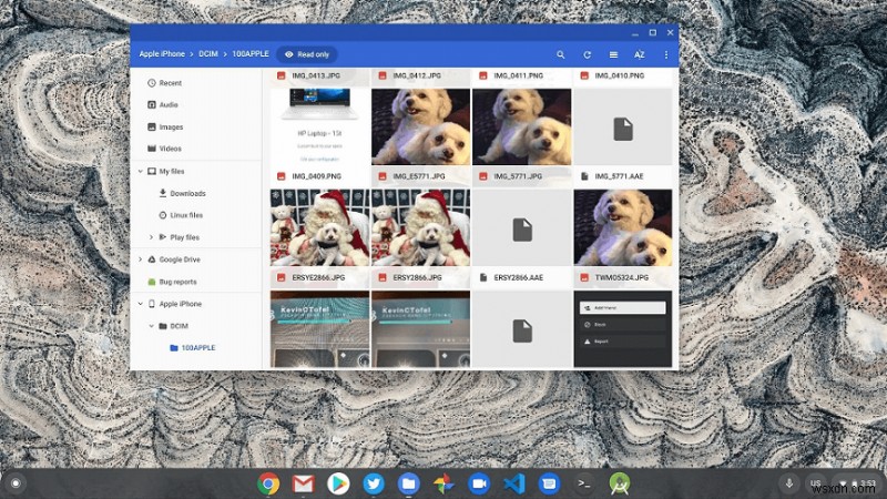 Transfer iPhone Photos to Chromebook: 3 Reliable Methods