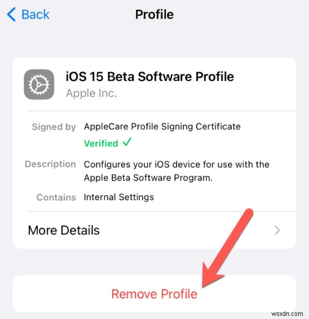 Trouble Updating to iOS 18? Common Causes & 7 Proven Fixes