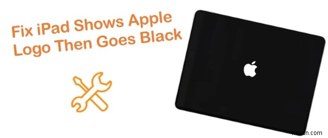 4 Proven Fixes When Your iPad Stalls at the Apple Logo and Goes Black