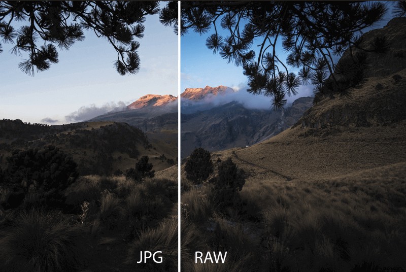 Master RAW Photography on iPhone 11‑14: A Complete Guide