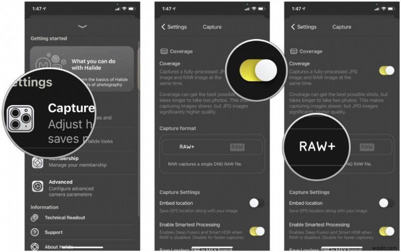 Master RAW Photography on iPhone 11‑14: A Complete Guide