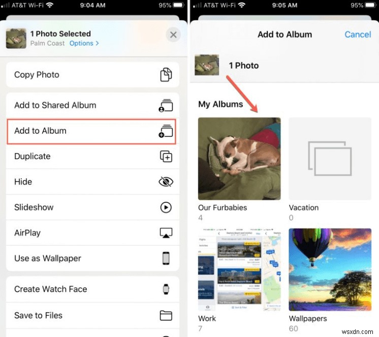 Master Your iPhone Photo Library: 5 Expert Tips for Easy Organization