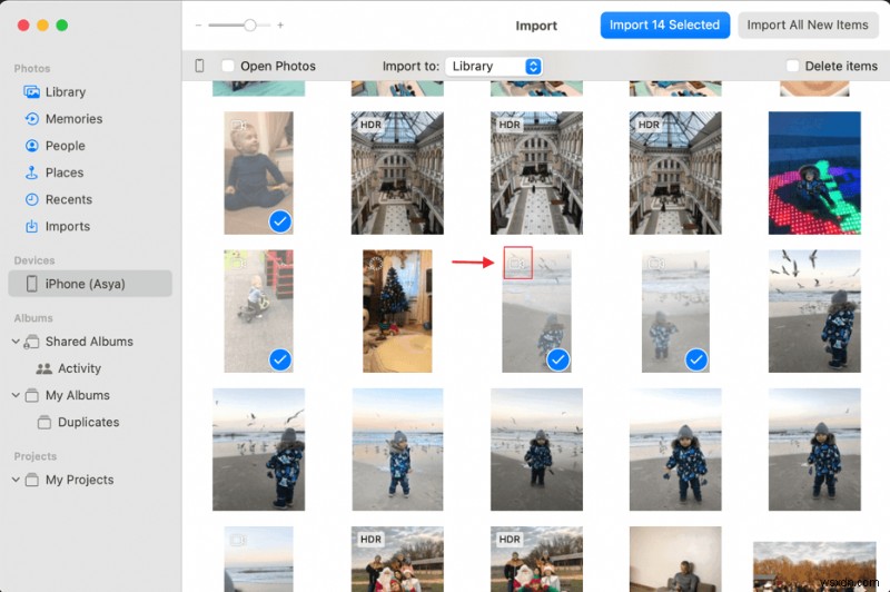 Easy Guide: Burn iPhone Videos to DVD on Windows & Mac