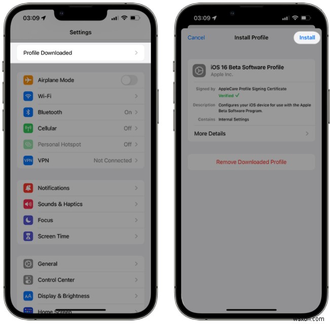 iOS 16/17/18 Beta Not Appearing on Your iPhone? Quick Fixes & Troubleshooting