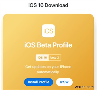 iOS 16/17/18 Beta Not Appearing on Your iPhone? Quick Fixes & Troubleshooting