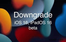 Step-by-Step Guide: Downgrading from iPadOS 18 Beta to iPadOS 17