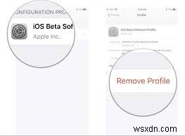 Step-by-Step Guide: Downgrading from iPadOS 18 Beta to iPadOS 17