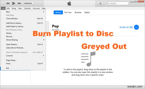 Why  Burn Playlist to Disc  is Greyed Out in iTunes & How to Fix It