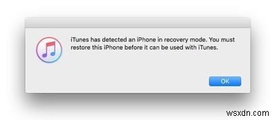 Instant Solution: Restore iPhone 13, 12, 11, X, & 8 When Recovery Mode Fails