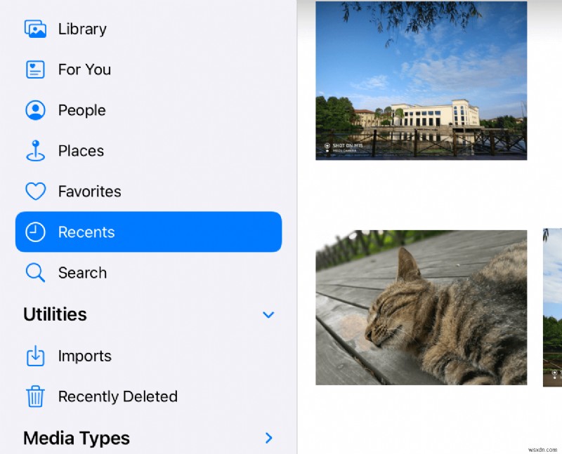 Clean Up Duplicate Photos on Your iPad Air, Pro, Mini, or Standard – Step‑by‑Step Guide