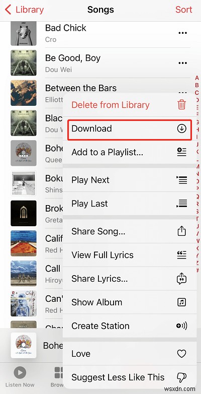 Transfer Music to Your iPad/iPhone for Offline Listening – Step‑by‑Step