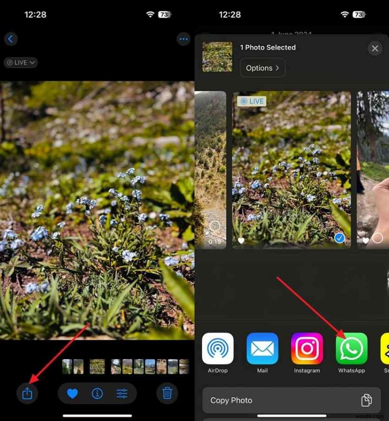 Easy & Secure Ways to Transfer Photos Between iPhones