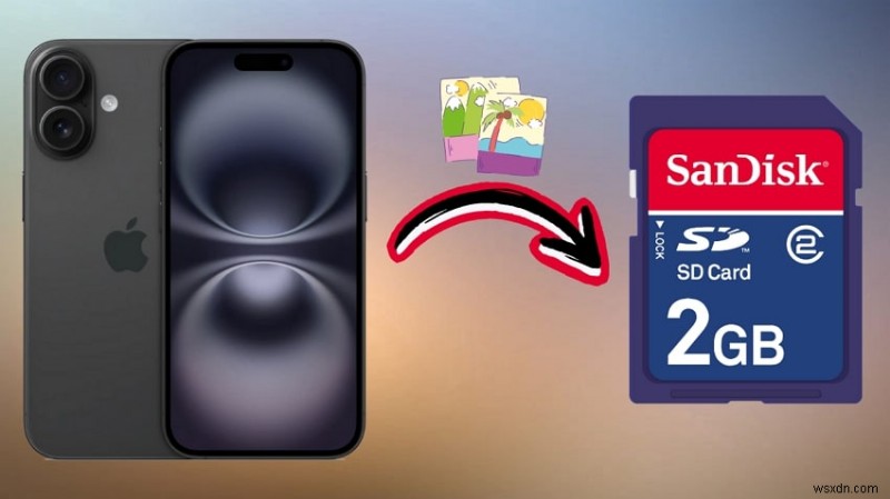5 Reliable Methods to Transfer Photos from iPhone to SD Card