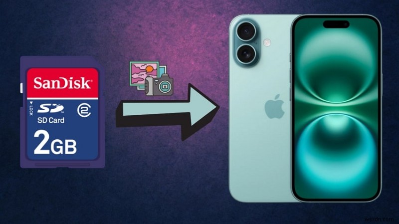 Seamlessly Transfer SD Card Photos to Your iPhone – 4 Proven Methods
