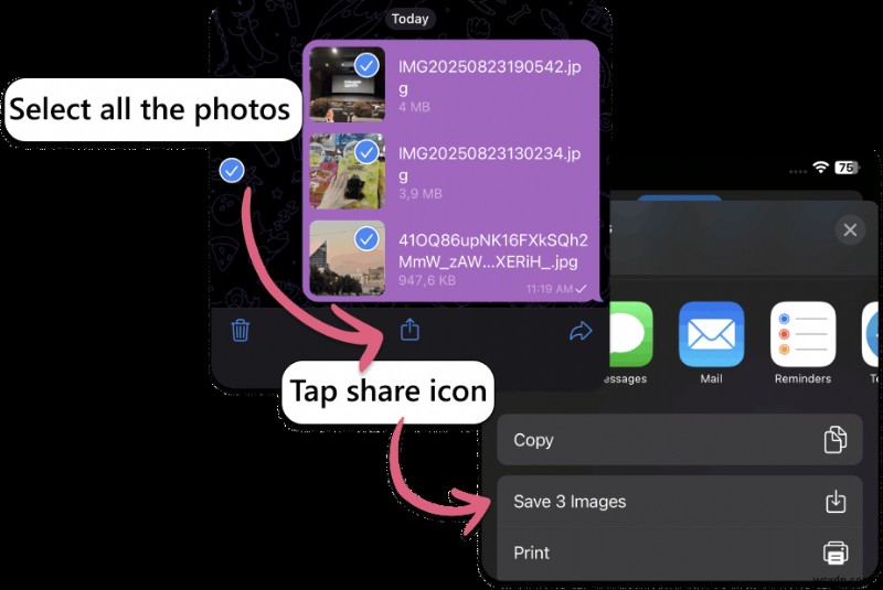 Effortless Photo Transfer from Samsung to iPhone: 5 Trusted Apps & Step-by-Step Guide