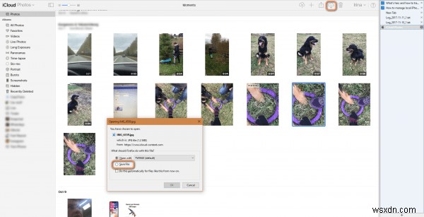 Master HEIC on Windows: 2 Easy Transfer Methods
