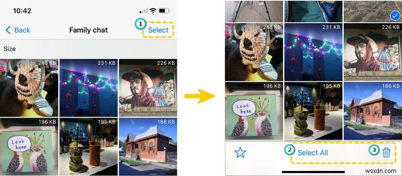 Free iPhone Storage Quickly: Simple Steps to Clear Space