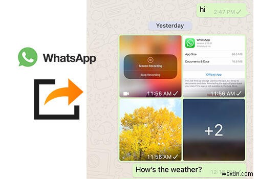 Transfer WhatsApp Photos & Videos with Syncios – Fast, Secure, and Easy