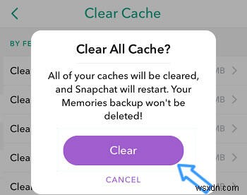 Efficiently Clear Snapchat Data and Free iPhone Storage