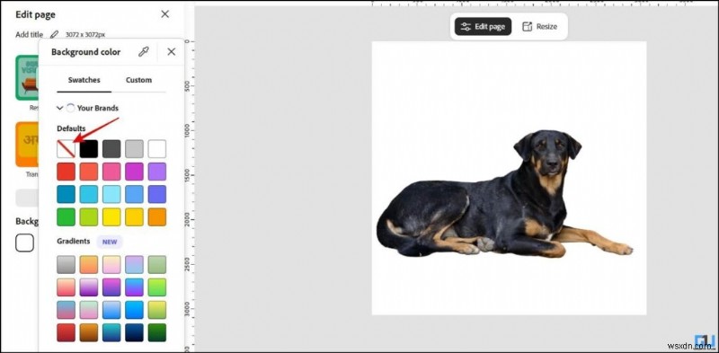 Create Stunning AI-Generated Designs with an All-in-One Tool