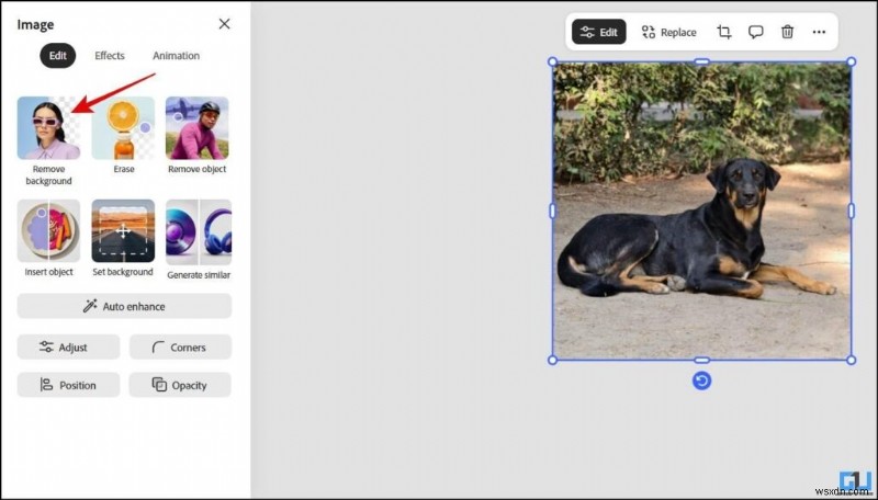 Create Stunning AI-Generated Designs with an All-in-One Tool