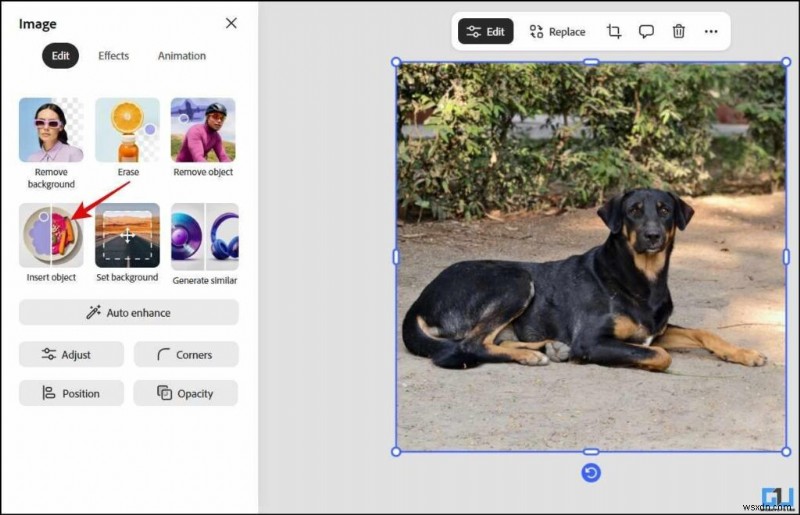 Create Stunning AI-Generated Designs with an All-in-One Tool