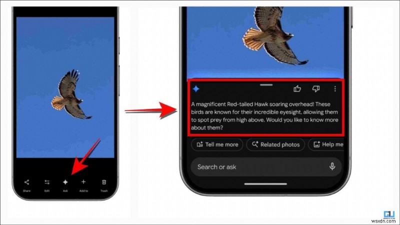 Google Photos Unveils 6 AI Features: One Underperforms, One Excels—Full Review