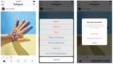 Mute Instagram Posts & Stories: A Simple Guide to Curate Your Feed