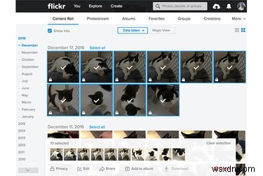 Safely Transfer Your Flickr Photos After the Recent Hack Concerns