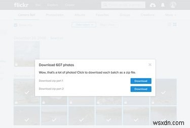 Safely Transfer Your Flickr Photos After the Recent Hack Concerns