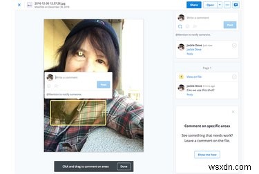 Safely Transfer Your Flickr Photos After the Recent Hack Concerns