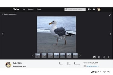Why Flickr Remains the Go‑To Photo Platform After Yahoo’s 2016 Hack
